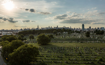 If you Plan on Dying in New York — READ THIS!