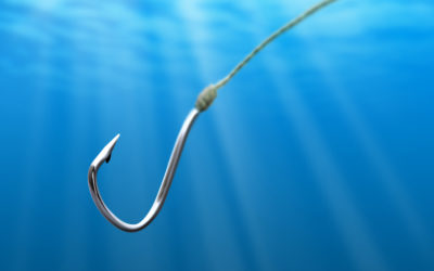 Gone Phishing – Phishing and Other Scams you should avoid.