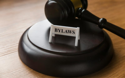 What Are Bylaws?