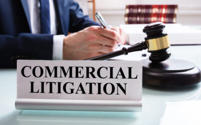 Commercial Litigation: Know Your Enemy