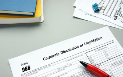 What is Dissolution in Business?
